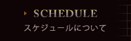 スケジュール