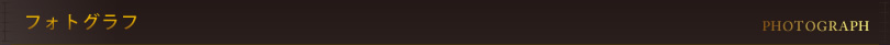 フォトグラフ