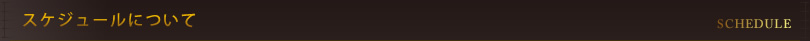 スケジュールについて